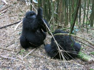 Rwanda 2013-057