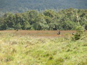 The Rwandan Defence Force (RDF) on patrol