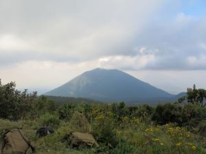 View of Karisimbi