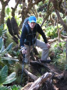 Josh navigating the thick terrain on Karisimbi